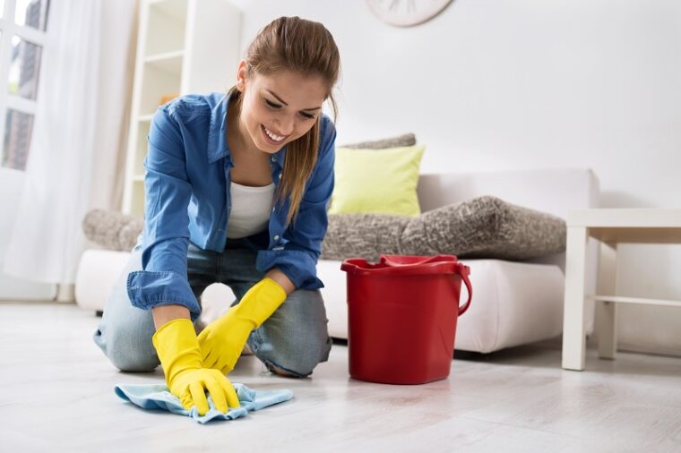 house cleaning 1