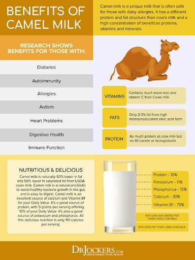 A Complete Guide About Benefits of Camel Milk