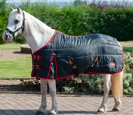 A Comprehensive Guide For Selecting The Best Horse Stable Rugs