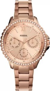 Fossil