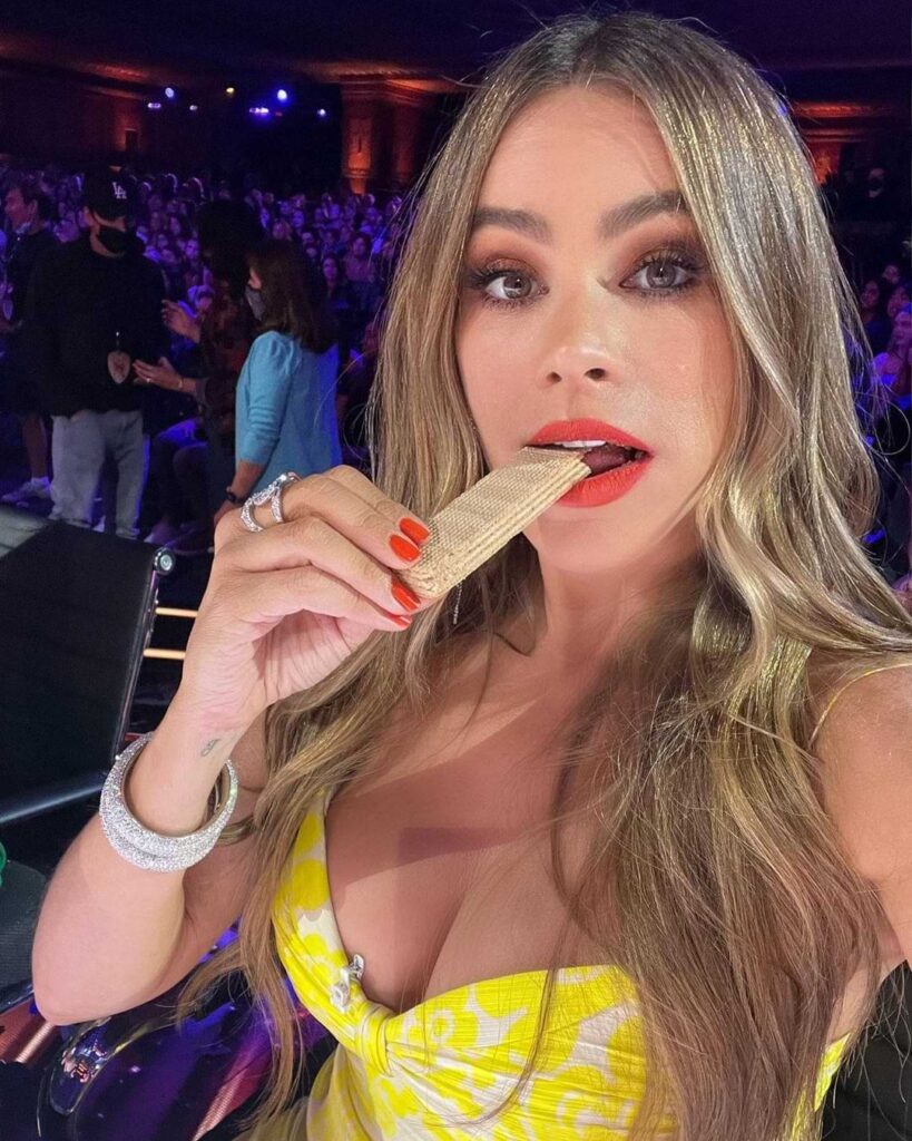 Sofia Vergara
