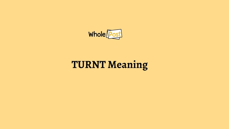 TURNT Meaning