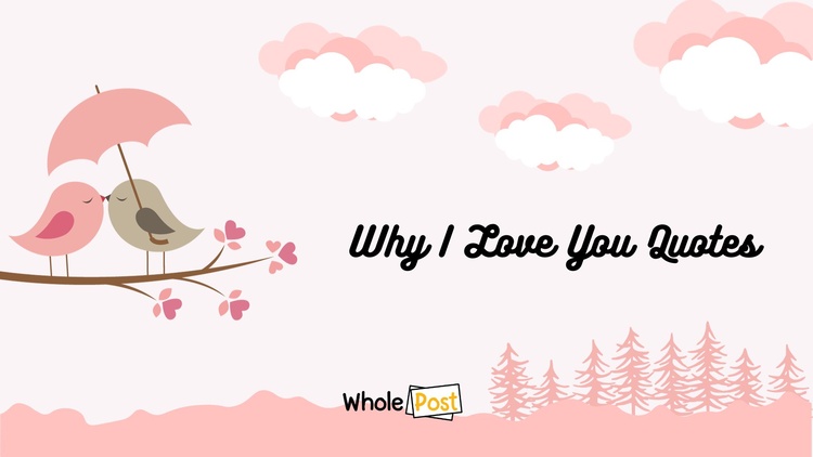 Why I Love You Quotes